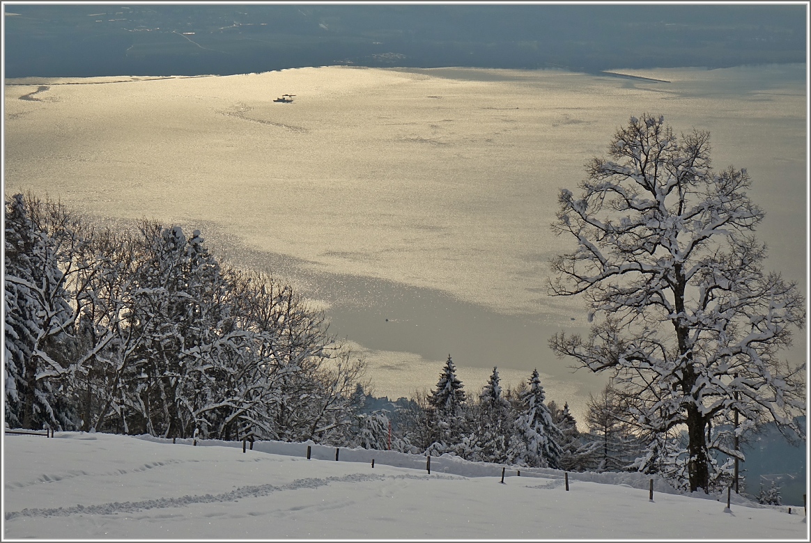 Winter am Genfersee
(21.01.2015)