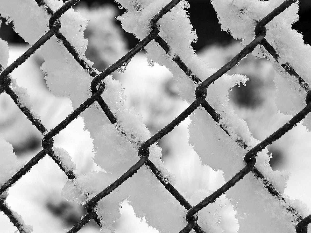 
Winter in Herdorf....
Schnee an einem Maschendrahtzaun, Herdorf, Ziegenberg am 02.02.2015