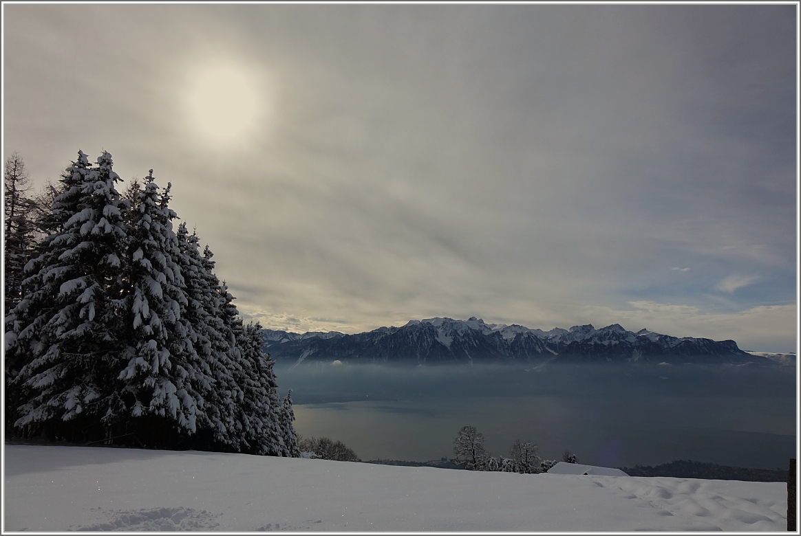 Winterimpression am Genfersee.
(21.01.2015)