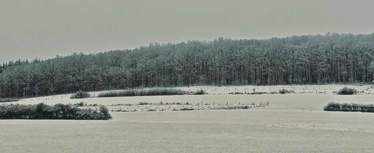 Winterlandschaft in Erpeldange / Wiltz. 02.01.2025