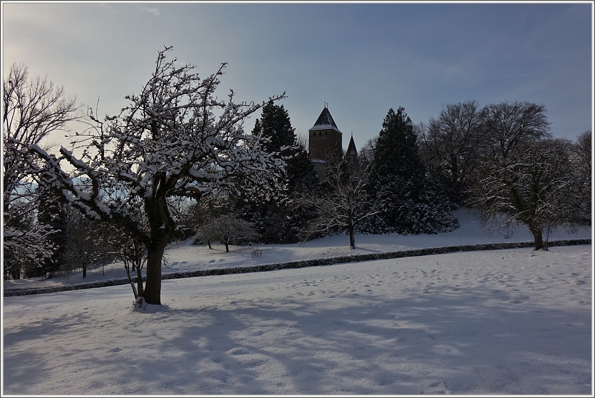 Winterliches Ambiente beim Château de Blonay
(30.12.2014)