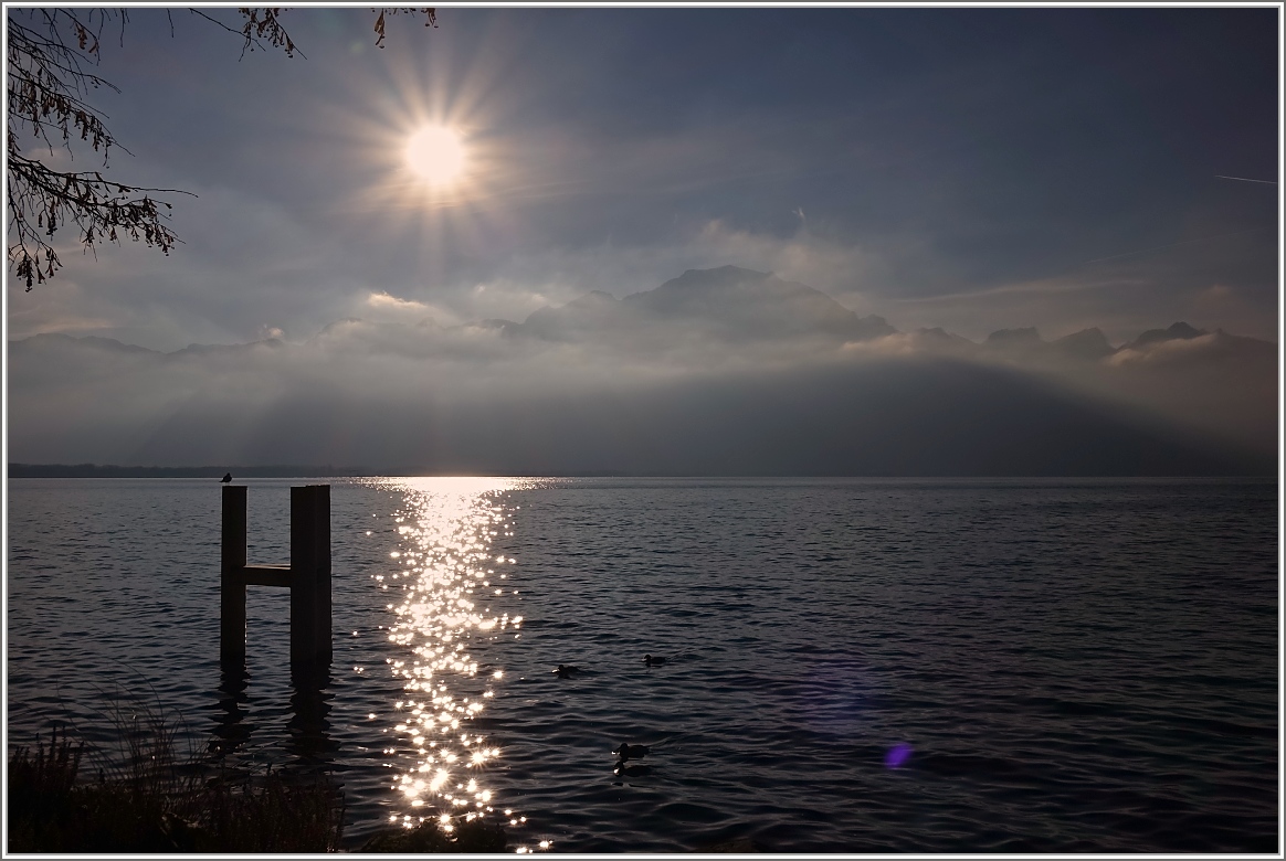Winterstimmung im Dezember am Genfersee.
(10.12.2015)