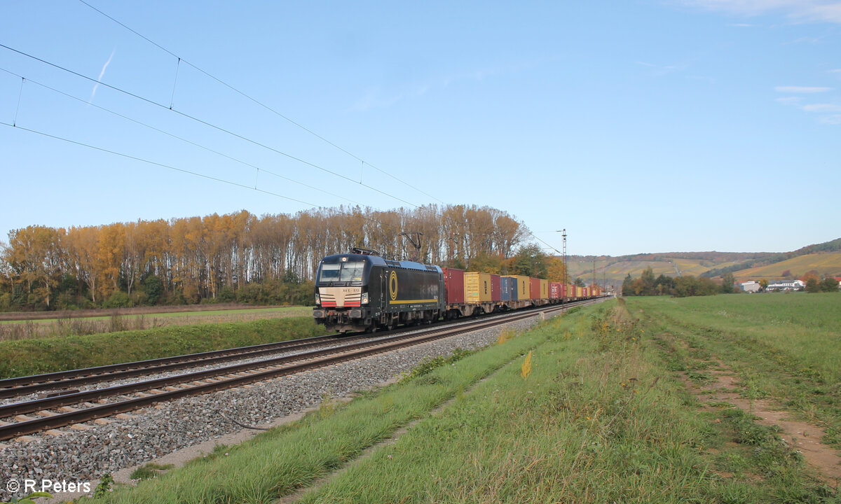 X4E 613 alias 193 613 zieht bei Retzbach-zellingen ein Containerzug in Richtung Würzburg. 21.10.24