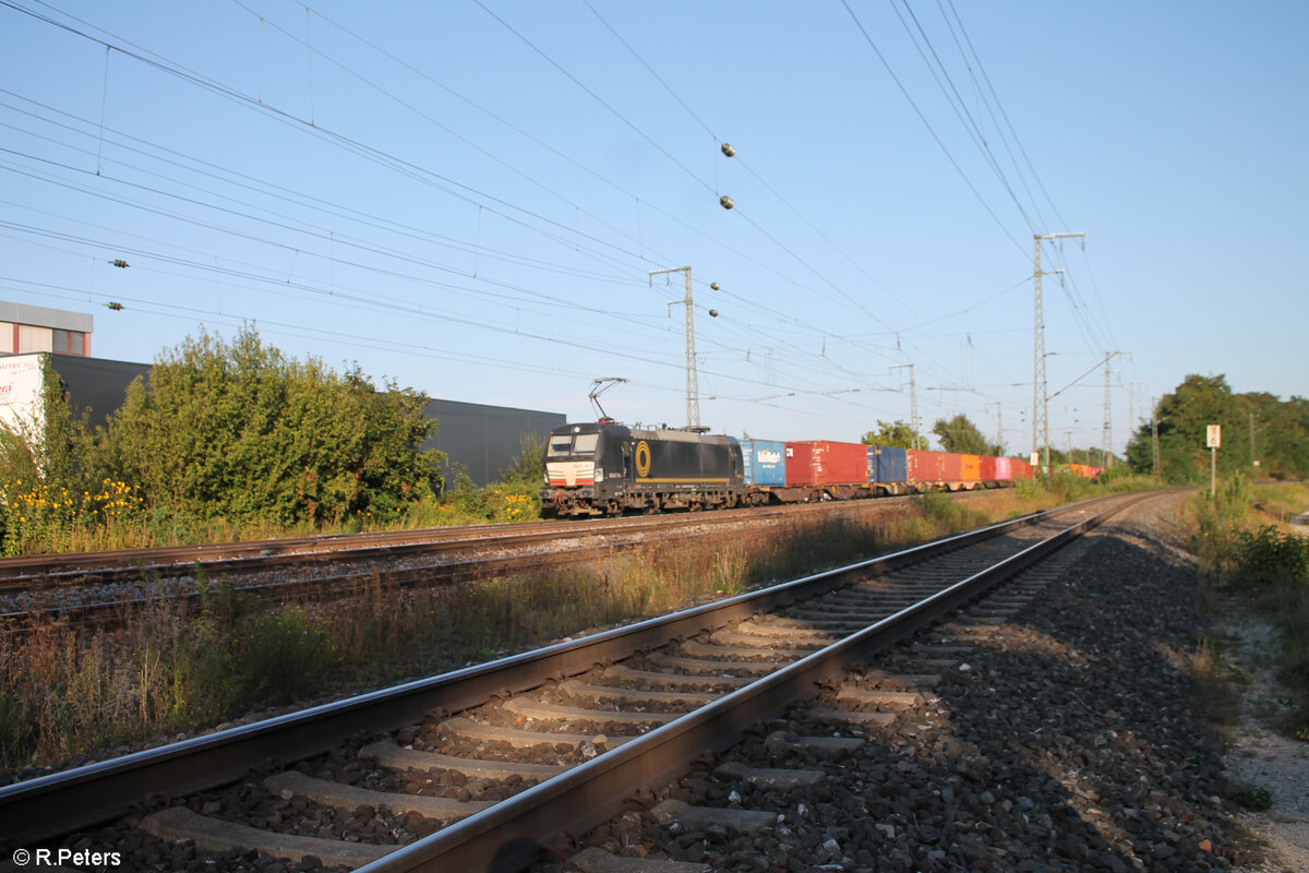 X4E 877 alias 193 877 durchfährt Nürnberg Hohe Marter mit einem Containerzug. 21.09.24