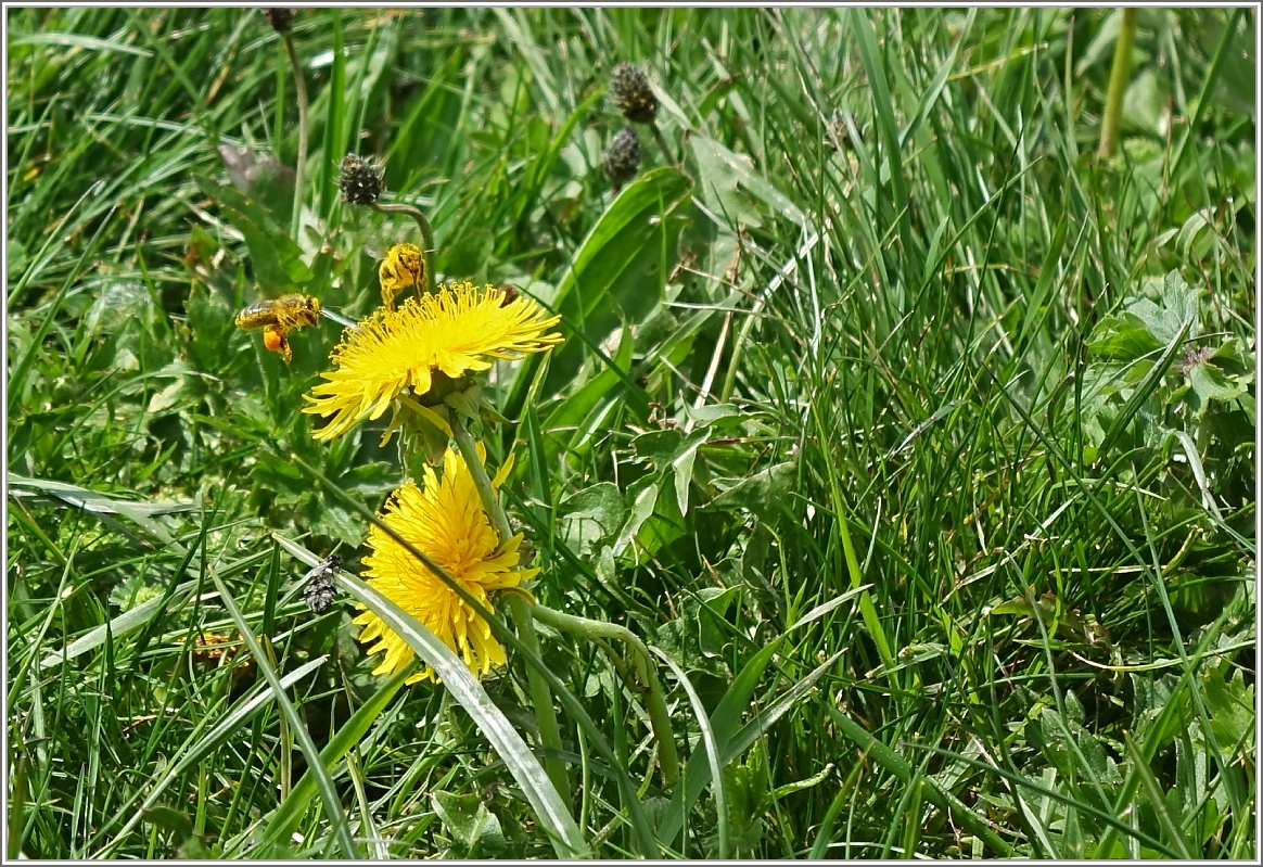 Zusammen schmeckt's besser
(11.05.2015)