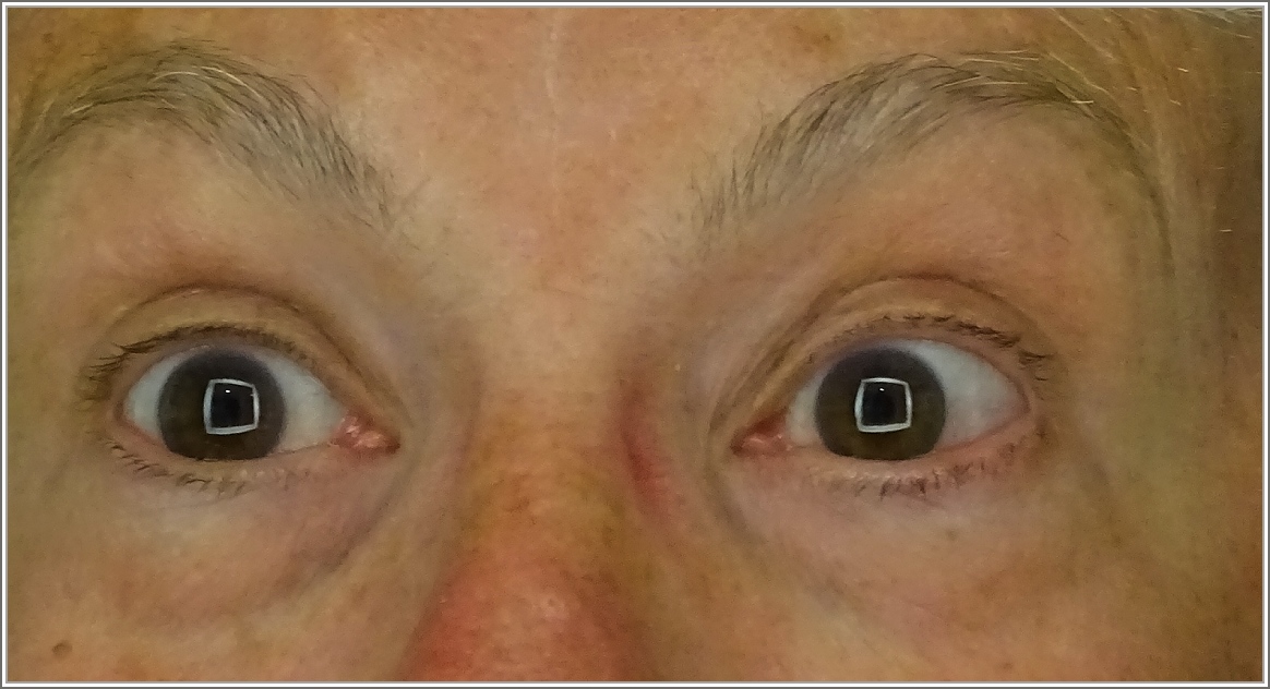 Zuviel Bahnbilder geschaut...
(30.04.2015)