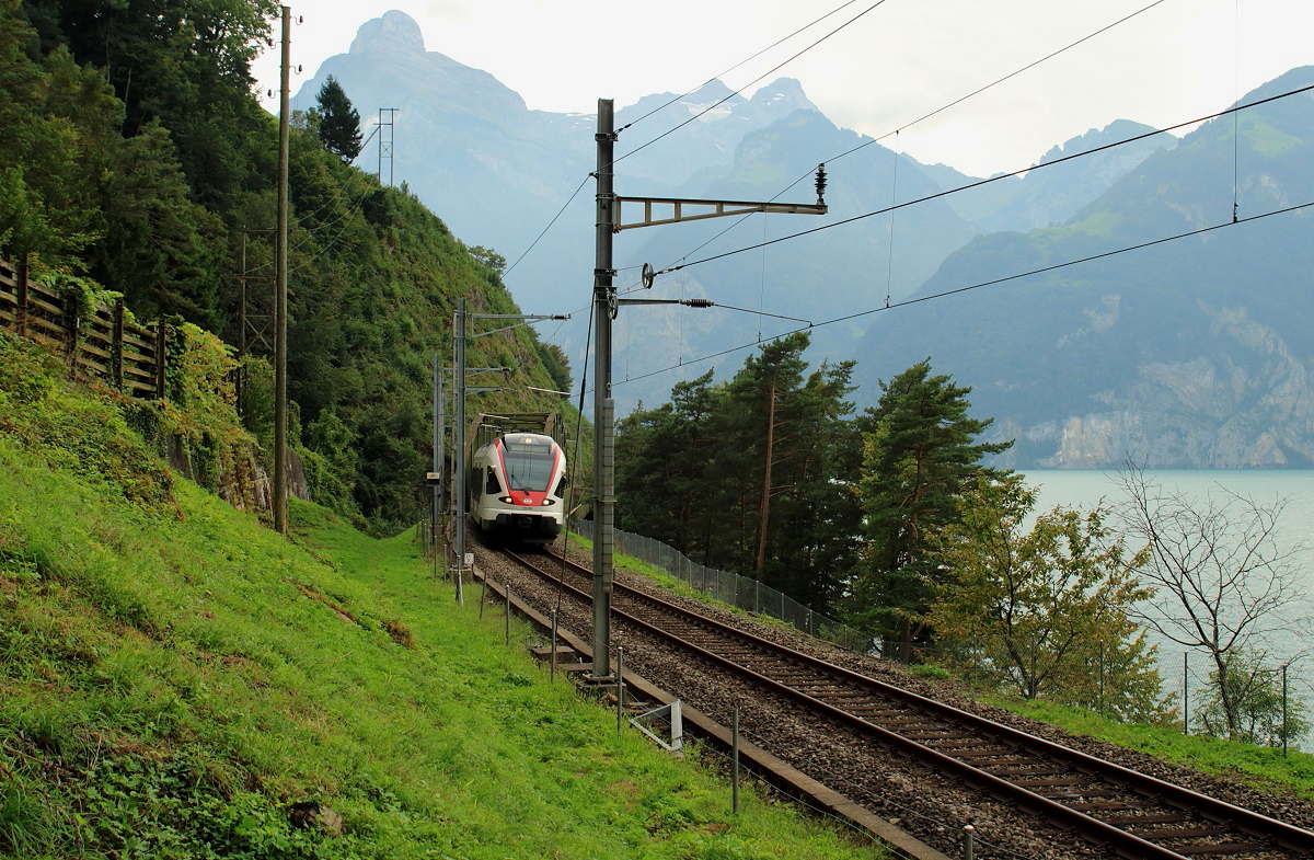 Zwar führt die Gotthardbahn zwischen Brunnen und Flüelen meist direkt am Vierwaldstättersee entlang, leider jedoch meistens im Tunnel. Einige Lücken mehr gibt es dabei auf der Fahrt in Richtung Norden, wie hier am 15.09.2016 bei Gumpisch zwischen Flüelen und Sisikon, RABe 523 004 ist als S 2 nach Baar Lindenpark unterwegs.