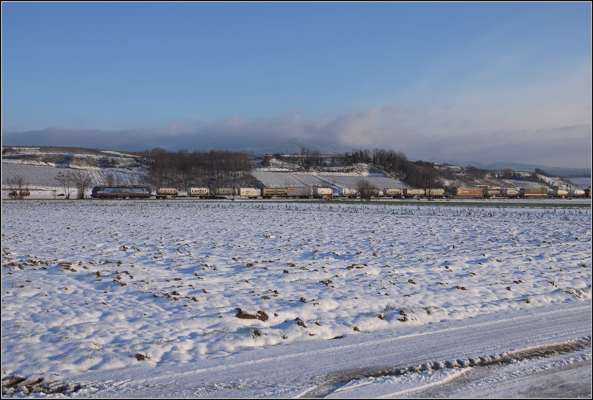Zwischen Belchensystem und Blauendreieck. 

Die geleaste SBB 193 516 nordwärts bei Buggingen. Februar 2021.