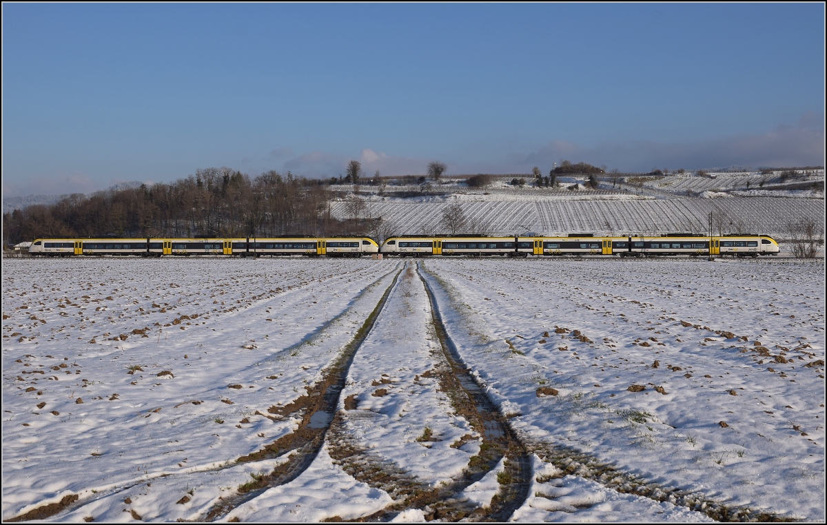 Zwischen Belchensystem und Blauendreieck. 

Eine Doppeltraktion 463 auf dem Weg nach Basel. Buggingen, Februar 2021.