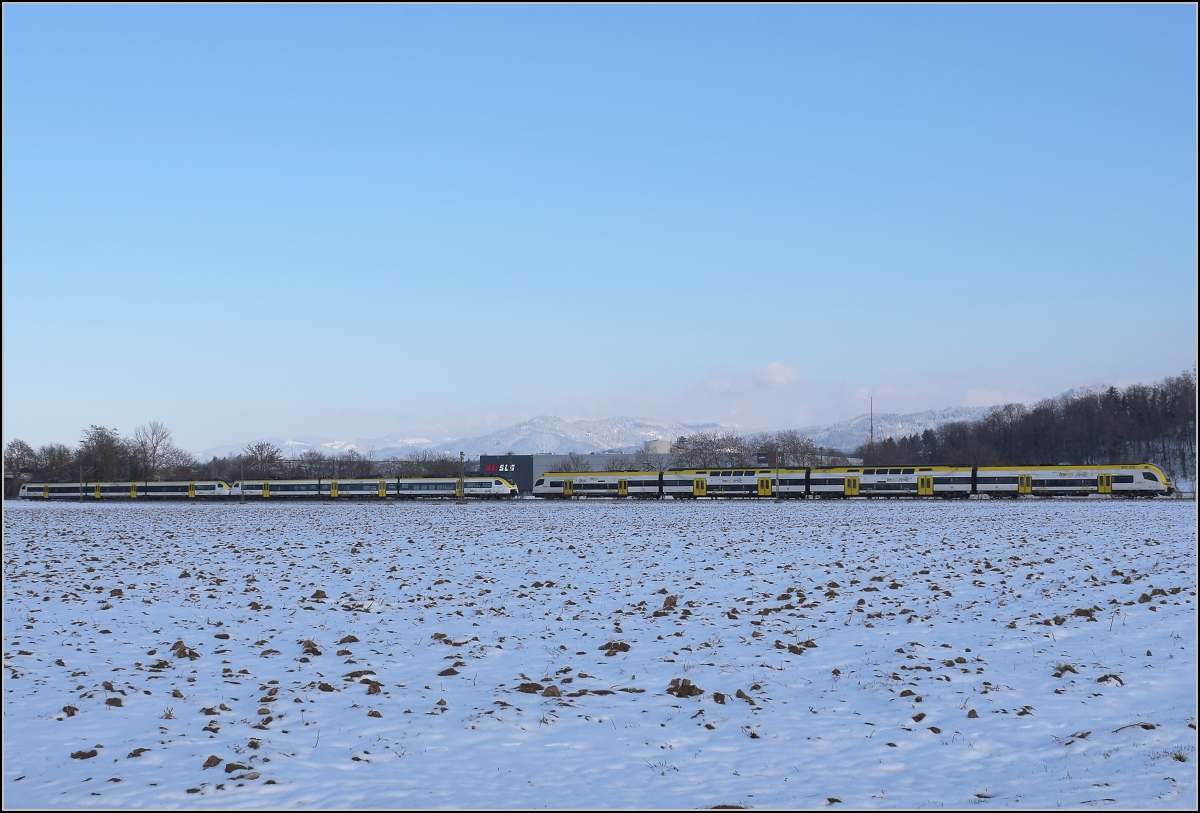 Zwischen Belchensystem und Blauendreieck. 

Neue Züge und eine echte Unterscheidung zwischen Regionalexpress und Regionalbahn gibt es am Oberrhein. Auch die Fahrzeugtypen manifestieren den Unterscheid. Der Regionalexpress wird mit Desiro HC bedient, BR 462, mittlerweile auch Kamel genannt. Die Regionalbahn wird mit dem neuen Mireo bedient, auch Karpfen genannt, hier vertreten durch 463 022 und 463 005. 

Die Fotostelle südlich von Buggingen war offenbar in Vorbereitung der Baustelle Ausfädelung Hügelheim entstanden, das muss man noch nutzen, bevor die Bagger anrollen und die Wege unpassierbar machen... Man beachte auch den Zewa Wisch und Weg streifenfreien Corona-Himmel... Februar 2021.