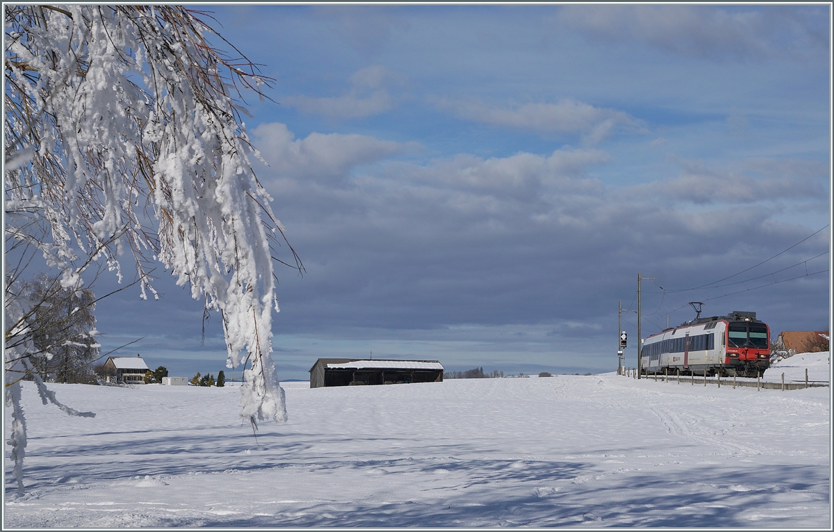 Zwischen Sales und Vaulruz konnte in einer herrlichen Winterlandschaft dieser SBB RBDe 560 Domino fotografiert werden. Der für die tpf fahrende Zug ist als RE 3818 von Bern nach Bulle unterwegs. 23. Dezember 2021