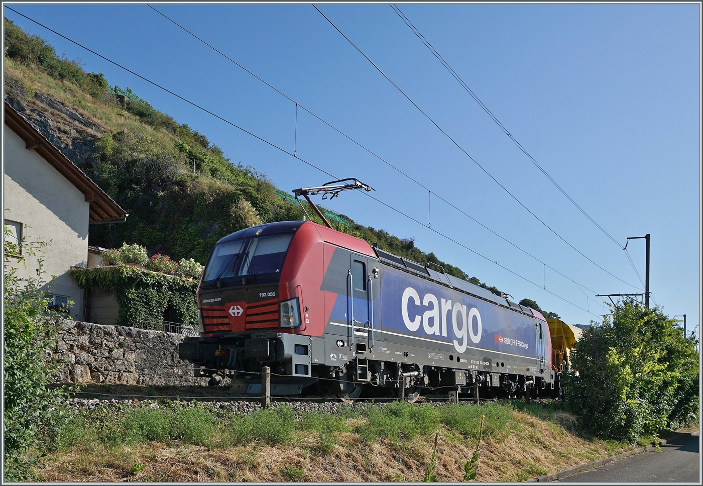 ... die im Gegensatz zur SBBB Re 6/6 scheinbar kürzere von der SBB Cargo gemietet 193 056 passt recht gut in die Vegetations-Lücke auf dem letzten Einspurigen Abschnitt der Strecke Bie/Bienne - Lausanne bei Ligerz.

11. Juli 2025