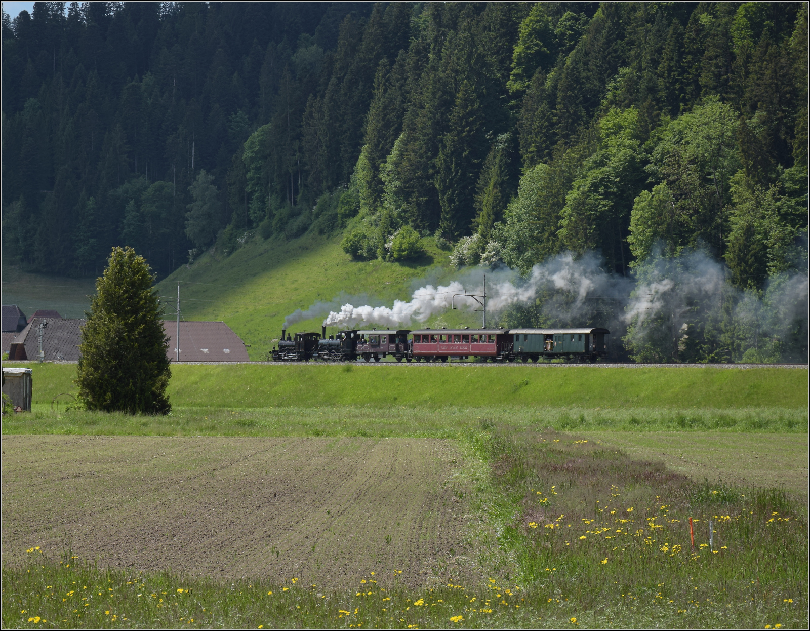 150 Jahre Emmentalbahn. 

E 3/3 853 der Jura-Simplon und Ed 3/3 3 'Langnau' der Emmentalbahn mit ihrem Sonderzug unterwegs auf der Bern-Luzern-Bahn. Schpbach, Mai 2025.