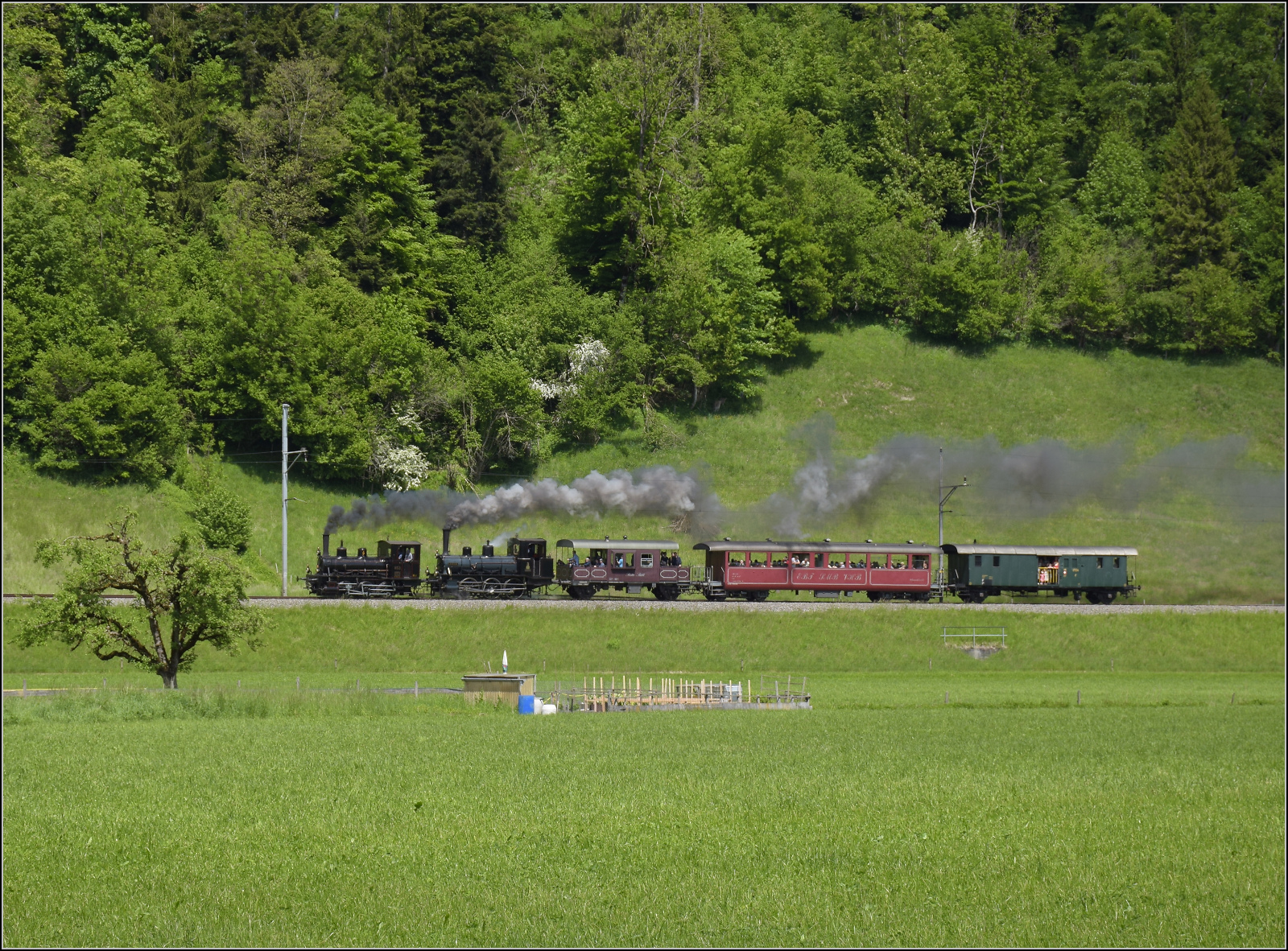 150 Jahre Emmentalbahn. 

Fotogene Vorbeifahrt von E 3/3 853 der Jura-Simplon und Ed 3/3 3 'Langnau' der Emmentalbahn mit ihrem Sonderzug auf der Bern-Luzern-Bahn. Der Star des Fests war immer als zweite Lok eingereiht. Emmenmatt Ried, Mai 2025.