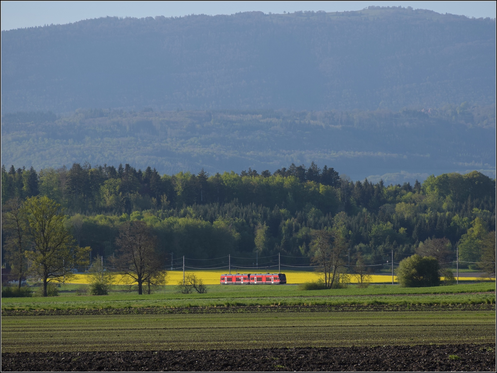 Auf der Biel-Täuffelen-Ins Bahn.

GTW Be 2/6 513 und GTW Be 2/6 512 der ASm. Siselen, April 2022. Das dürfte in etwa an der  Umfallstelle  beim Sturm im März 2022 sein.
