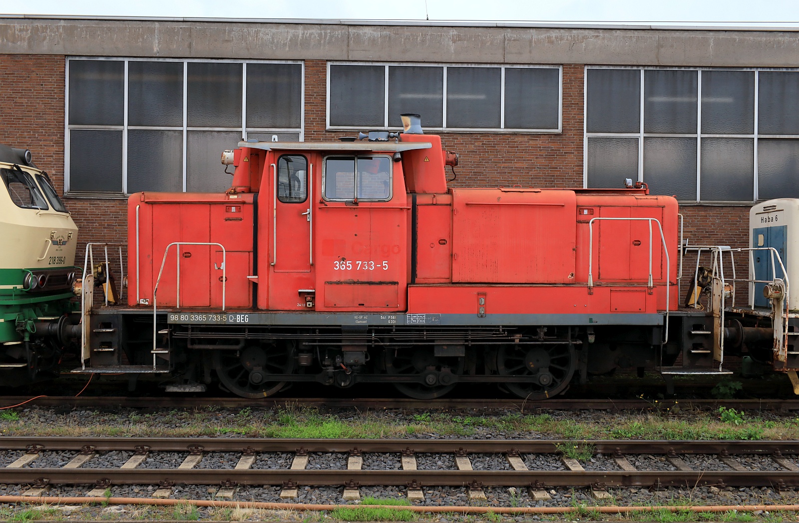 BEG 365 733-5, MaK600322, 1960 ex DB V 60 733, 261 733-0/361 733-9 abgestellt in Neuwied. 04.08.2024