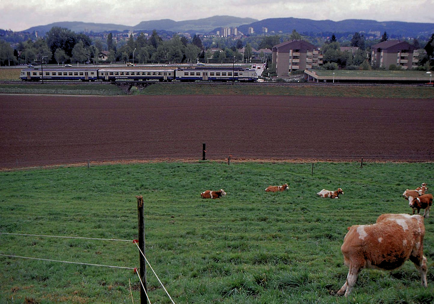 BLS NPZ im Originalanstrich: Nicht alle Züge hatten einen NPZ-Zwischenwagen, dieser hier bei Wabern führt einen BLS-Einheitswagen in der Mitte. Jumbo-Wagen gab es damals noch nicht. 25.September 1993 