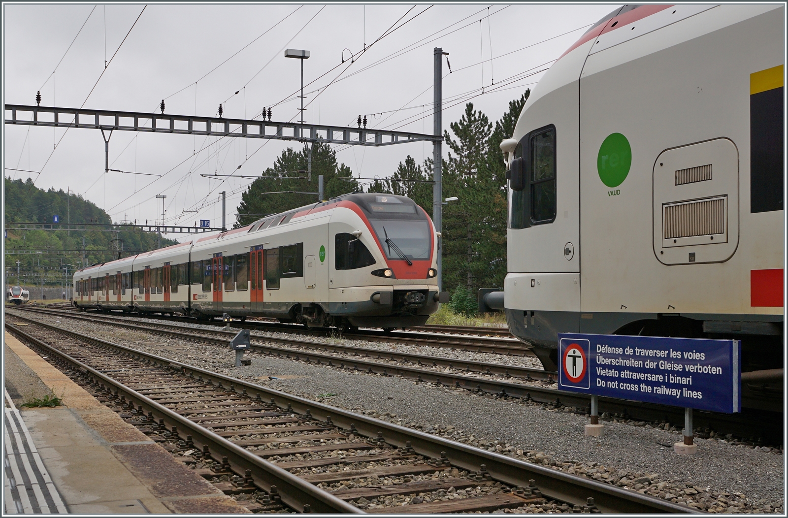 Da in Vallorbe die Züge verstärkt und geschwächt werden, stehen hier tagsüber recht viele Flirts herum und verdenken den Blick auf den von Aigle in Vallorbe ankommenden RABe 523 von Aigle. 

6. Aug. 2022