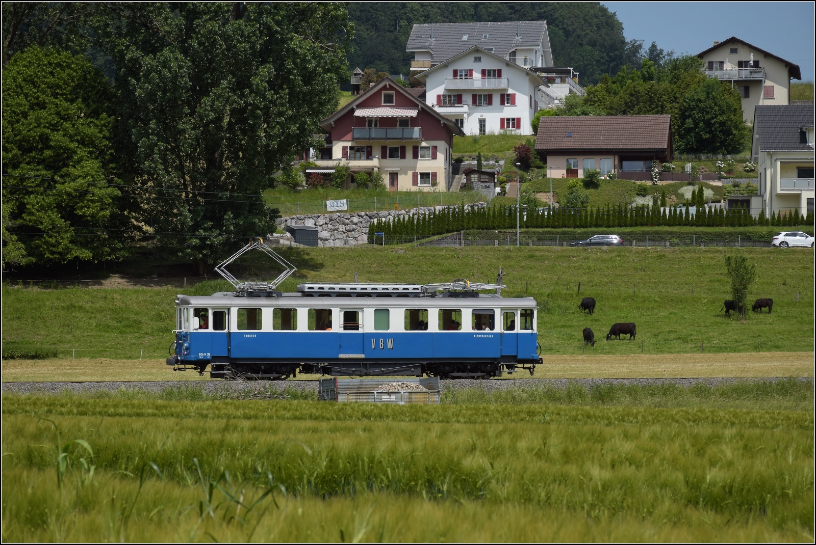 Das Blaue Bähnli VBW BDe 4/4 36 auf der falschen Strecke nach Worb. Stettlen, Juni 2023.