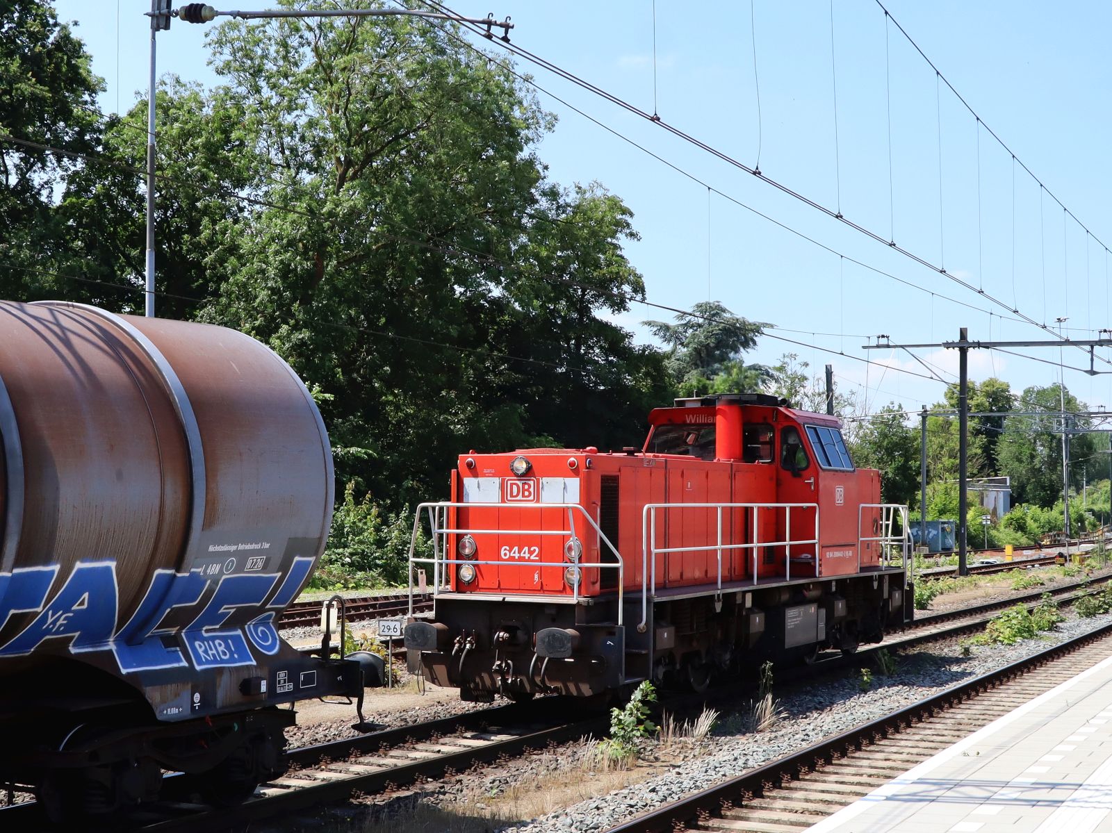 DB Cargo Diesellokomotive 6442  William  Bahnhof Dordrecht 25-06-2024.


DB Cargo diesellocomotief 6442 genaamd  William  Dordrecht 25-06-2024.
