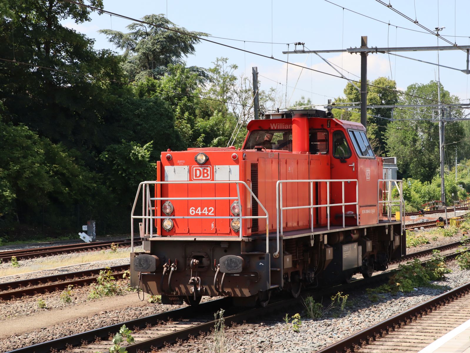 DB Cargo Diesellokomotive 6442  William  Bahnhof Dordrecht 25-06-2024.


DB Cargo diesellocomotief 6442 genaamd  William  Dordrecht 25-06-2024.