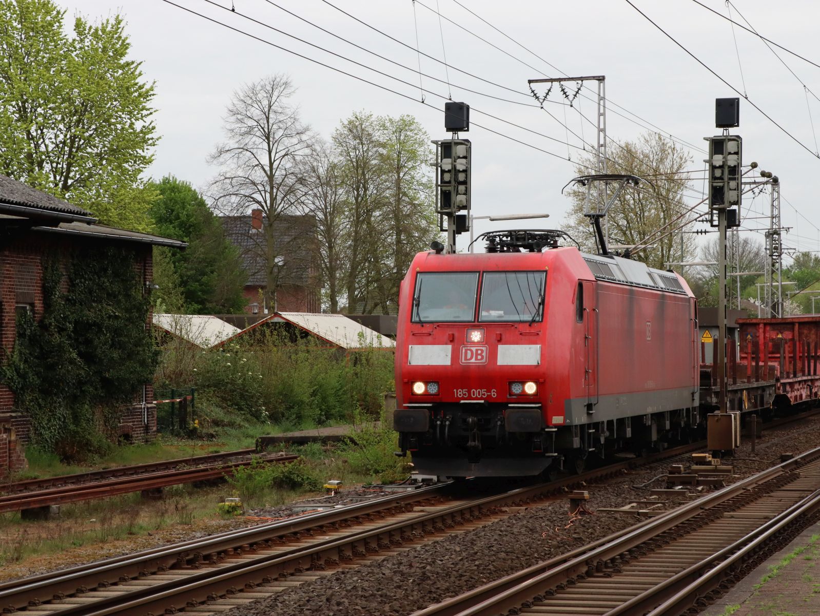 DB Cargo Lokomotive 185 005-6 Gleis 4 Bahnhof Salzbergen 17-04-2025.

DB Cargo locomotief 185 005-6 spoor 4 station Salzbergen 17-04-2025.