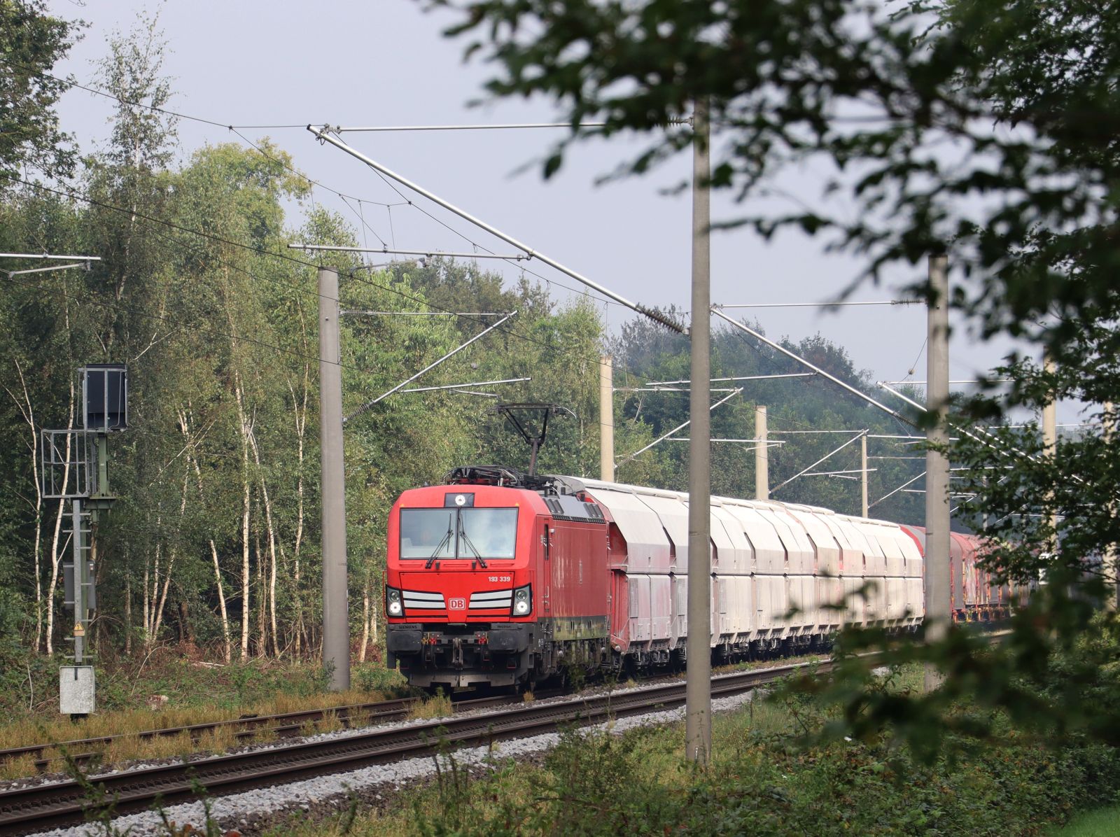 DB Cargo Lokomotive 193 339-9 bei Bahn�bergang Haagsche Strasse, Emmerich am Rhein 19-09-2024.

DB Cargo locomotief 193 339-9 bij overweg Haagsche Strasse, Emmerich 19-09-2024.