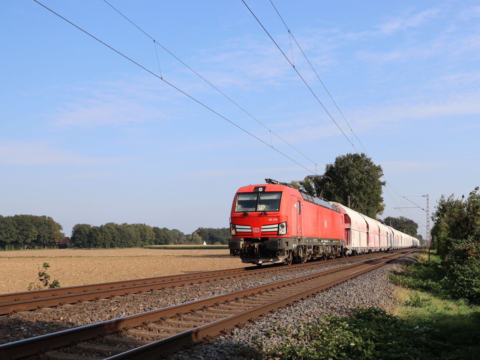 DB Cargo Lokomotive 193 339-9 bei Bahn�bergang Wasserstrasse Hamminkeln 19-09-2024.

DB Cargo locomotief 193 339-9 bij overweg Wasserstrasse Hamminkeln 19-09-2024.