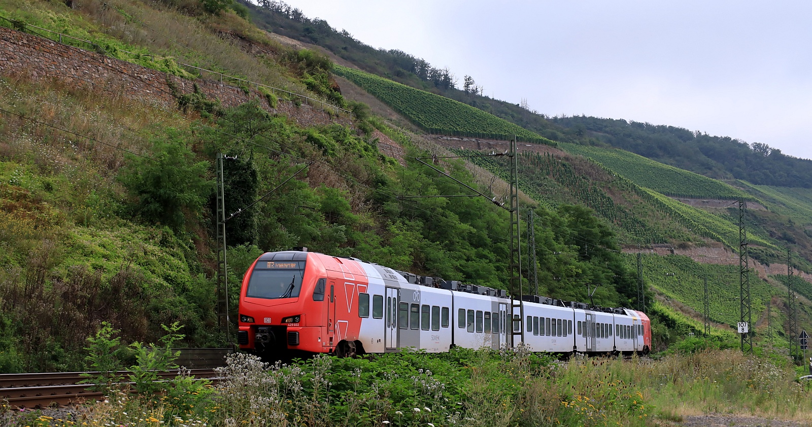 DB Süwex 429 102/602 mit freundlichem Gruß. Bopparder Hamm 03.08.2024