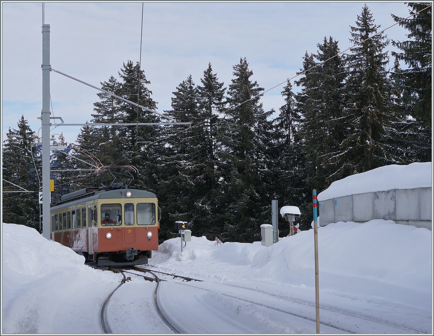 Der BLM Be 4/4 N° 31 (ex Bipperlisi) bei der Einfahrt in Winteregg von der Grütschalp her. Der Triebwagen ist als Regionalzug R66 nach Mürren unterwegs. 

16. Jan. 2024