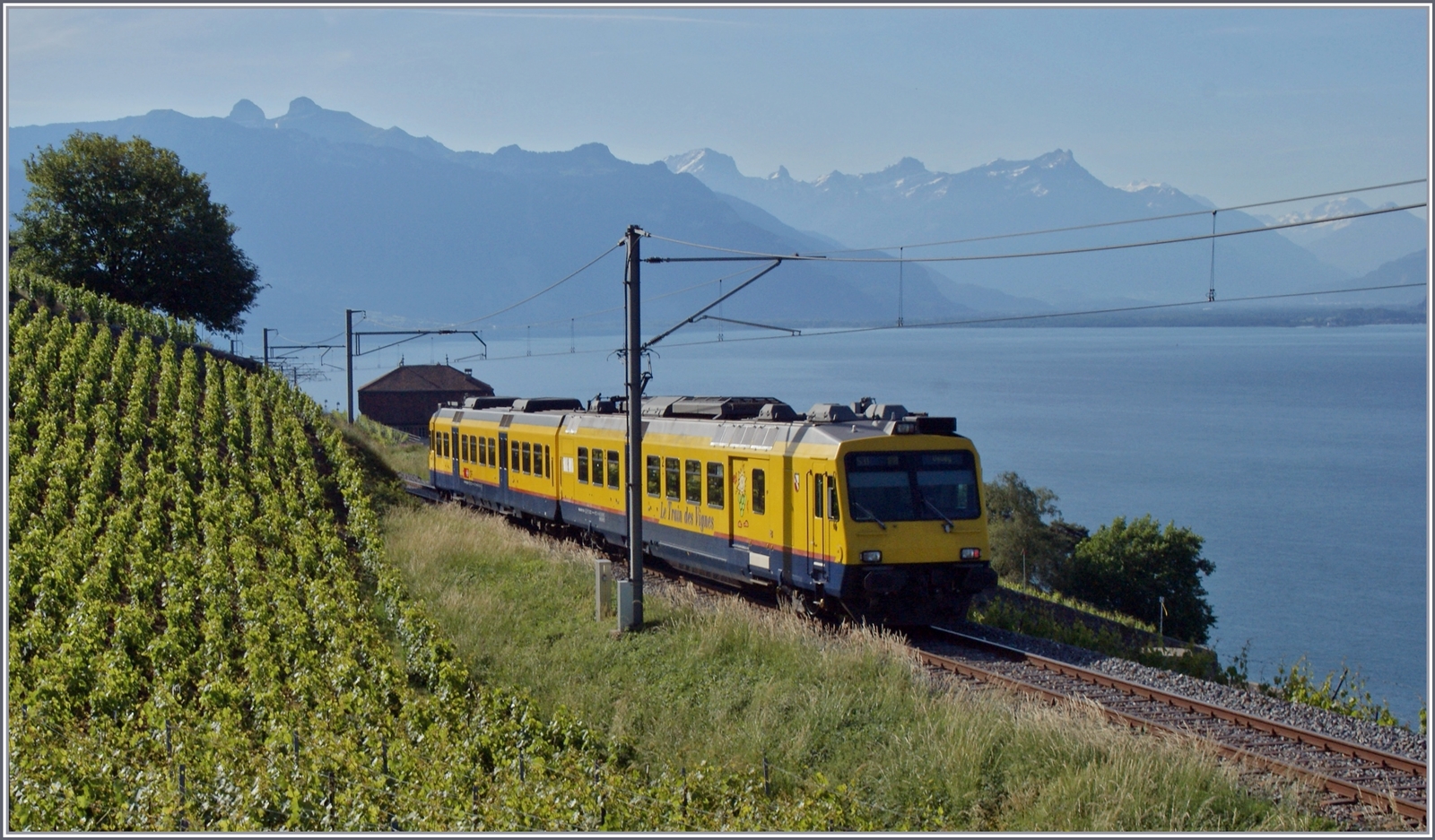 Der RBDe 560 131  Train de Vignes  ist auf seiner Strecke hoch über dem Genfersee auf der Fahrt nach Vevey unterwegs. 

29. Mai 2011
