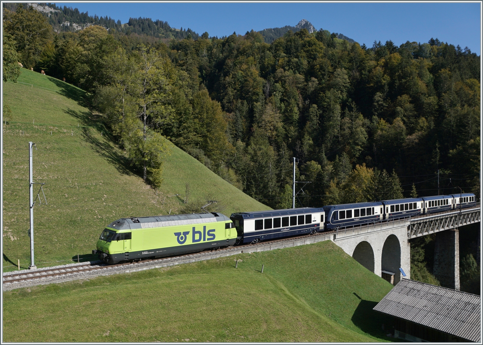 Die BLS Re 465 014 (UIC 91 85 4465 014-9) fährt mit ihrem GoldenPass Express GPX 4069 von Interlaken Ost nach Montreux bei Weissenburg über die Bunschenbach Brücke. Da die übliche Fotostelle etwas weiteroben noch von Kühen genutzt wird, musste ich mich mit dieser hier begnügen. 

7. Okt. 2023