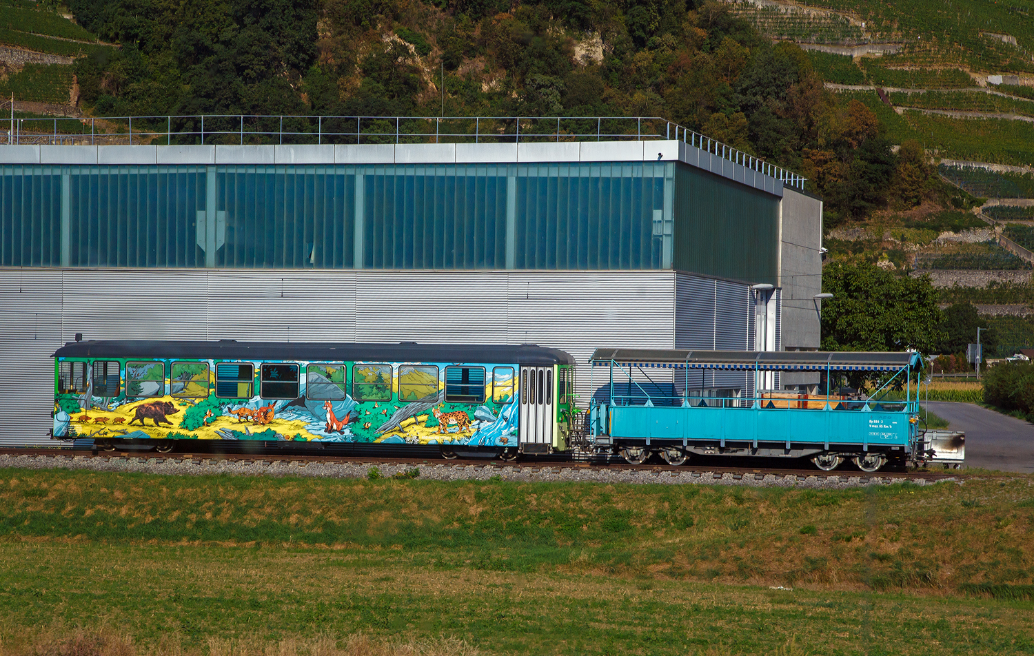 Ein Blick aus dem unserem SBB-Zug beim Dpt in Chlex der TPC - Transports Publics du Chablais (bei Aigle) hier steht am 10 September 2023, von links nach rechts:

Der bunte vierachsige erste Klasse Salonsteuerwagen tpc Arst 433  Chez Rose . Der heutige Salonsteuerwagen wurde 1966 von SWP (Schindler Waggon Pratteln), mit elektrischer Ausrstung von BBC, gebaut und als einer von 7 Steuerwagen an die Birsigthalbahn-Gesellschaft als BTB Bt 27 geliefert. 

Anlsslich der Modernisierung des BTB-Rollmaterials und fr die Bildung von die Betriebsabwicklung stark vereinfachenden Pendelzgen wurden 1966 auch sieben Steuerwagen Bt 21 bis 27 beschafft. Diese standen jedoch lediglich sechs neuen Triebwagen ABe 4/4 11 bis 16 gegenber. Der zustzliche Steuerwagen wurde ab 1977 fr einen Pendelzug mit den entsprechend angepassten Be 4/4 der Serie 8 bis 9 aus dem Jahre 1951 bentigt.

Die Steuerwagen entsprachen bezglich des wagenbaulichen Teils so weit als mglich den Motorwagen. Es waren zwei Fahrgastabteile (Raucher/Nichtraucher) vorhanden. Auf der fhrerstandslosen Seite befanden sich die Plattformen mit den beidseitigen, pneumatisch bettigten Falttren ganz am Wagenende, um im Wageninnern mglichst viele Sitzpltze anordnen zu knnen. Als Drehgestelle kamen solche elastischer Bauart mit Flexicoil-Lagerung und Gummi-Zusatzfedern sowie Klotzbremse zum Einbau.

Der Fhrerstand entsprach jenem der Motorwagen (ABe 4/4). Er war von Anfang an so ausgelegt, dass auch die entsprechend angepassten Be 4/4 8 und 9 ferngesteuert werden konnten. Eine Stirnwandtre ermglichte das Mitfhren von Zusatzwagen oder das Einreihen eines Steuerwagens in der Zugsmitte. 1972 wurde der Zugfunk nachgerstet.

Mit der Fusion der Basler Vorortsbahnen 1974 gingen alle sieben Steuerwagen, welche immer Seite Rodersdorf an die Zge gestellt wurden, an die neugegrndete Baselland Transport AG (BLT) ber ,so wurde dieser zum BLT Bt 27. 

Nach der Betriebsumstellung im Herbst 1984 verkaufte die BLT alle sieben Fahrzeuge in die Westschweiz. Die Bt 22, 23, 24 und 25 kamen als Bt 132, 133, 134 und 131 zur Schmalspurbahn Aigle–Ollon–Monthey–Champry (AOMC). 

Die Bt 21 sowie 26 und 27 fanden den Weg zur Aigle–Spey–Diablerets-Bahn (ASD). Ab September 1985 wurden sie bei ACMV in Vevey fr den Betrieb mit den fr 1987 bestellten Triebwagen BDe 4/4 401 bis 404 hergerichtet. Die Anpassungen umfassten im Wesentlichen:
•	Neuanstrich
•	Verschlieen der vorderen Stirnwandtren
•	Einbau eines neuen Fhrertisches
•	Anpassungen an den Steuerstromkreisen
•	Anpassungen der elektrischen, pneumatischen und mechanischen Kupplungen
•	Einbau von Schienenbremsmagneten in beide Drehgestelle

Der Bt 433 wurde 1997 durch einen Umbau zum Salonsteuerwagen Arst 433 Chez Rose und erhielt dabei unter anderem eine Dachrandverglasung auf der einen Wagenseite. Im Gegensatz zu den ASD-Steuerwagen, welche nach wie vor in Betrieb stehen, schieden die Bt der AOMC bis 2016 restlos aus dem Dienst, da AOMC die Fahrleitungsspannung umgestellt worden war. 

TECHNISCCHE DATEN bei Inbetriebsetzung (1966):
Spurweite: 1.000 mm
Typenbezeichnung: Bt
Anzahl Wagen: 7
Lnge ber alles: 17.212 mm
Grte Breite: 2.500 mm
Hhe ber Dach: 3.450 mm
Drehzapfenabstand: 11.000 mm
Achsabstand im Drehgestell: 1.800 mm
Eigengewicht: 17.000 kg
Sitz-/Stehpltze: 64 / 66 (zustzlich 2 Klappsitze)
Hchstgeschwindigkeit: 65 km/h
Anschaffungskosten/Wg.: CHF 356’205.–


Recht steht noch der tpc ASD Sommerwagen By 884-3, ein vierachsiger Wagen mit einer Plattform.
TECHNISCCHE DATEN:
Spurweite: 1.000 mm
Typenbezeichnung: By
Eigengewicht: 8,3 t
Sitzpltze: 39 
Hchstgeschwindigkeit: 65 km/h

Die Chemin de fer Aigle–Spey–Diablerets (ASD), deutsch Aigle-Spey-Diablerets-Bahn, ist eine Schmalspurbahn die 1999 zusammen mit der AL AOMC und der BVB zur heutigen Transports Publics du Chablais (TPC) fusionierte. Die 23 Kilometer lange Meterspurlinie von Aigle zum Wintersportort Les Diablerets, wird seit der Betriebsaufnahme (1913) elektrisch betrieben. Im Gegensatz zu den anderen drei Bahnen ist sie eine reine Adhsionsbahn. 
