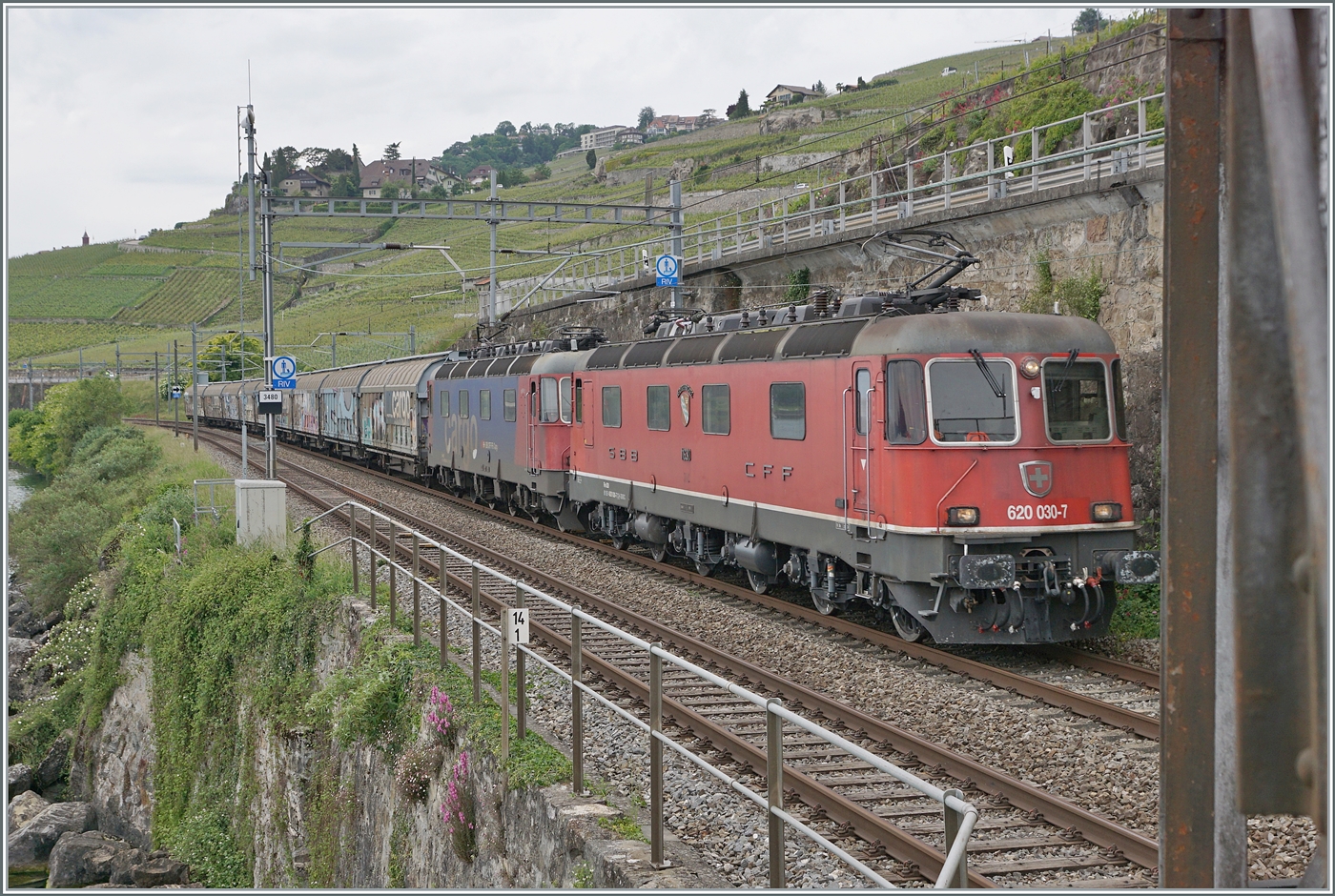 Erneut mit zwei Re 6/6 bespannt ist zwischen Rivaz und St-Saphorin ein SBB Cargo Güterzug in Richtung Wallis unterwegs. An der Zugsspitze führt die rote SBB Re 6/6 11630 (Re 620 91 85 4 620 030-7 CH SBBC)  Herzogenbuchsee den Zug und dahinter hilft die Re 6/6 11624  Rothrist . 
Der SBB Cargo EWLV Zug ist von Lausanne nach Zürich via Kandersteg unterwegs, was auch den Bedarf an ZWEI re 6/6 erklärt.

16. Mai 2025