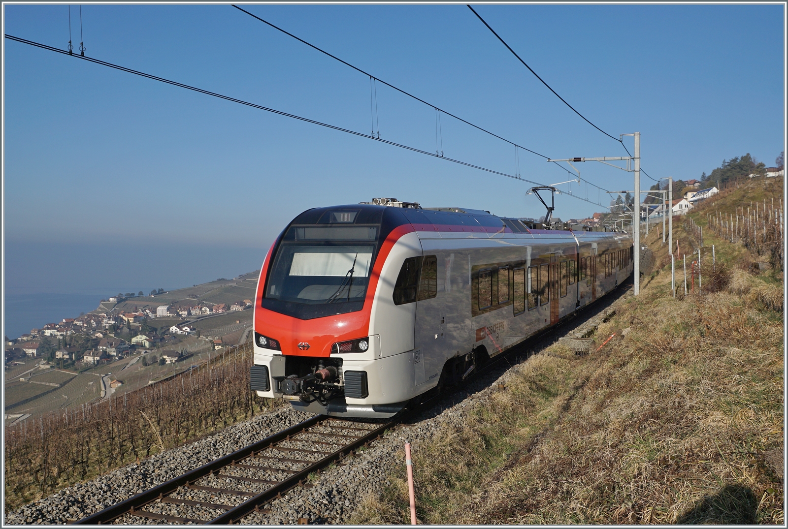  Fernverkehr  auf der Train de Vignes Strecke: der für den Fernverkehr beschaffte SBB Flirt3 RABe 523 503  Mouette  (RABe 94 85 0 523 503-6 CH-SBB) ist als S7 auf der Train de Vignes Strecke zwischen Vevey und Puidoux kurz vor Chexbres unterwegs. Ich hatte Glück mit dieser Aufnahme, denn schon am folgenden Tag übernahm ein  Domino  den Dienst auf der S7. 

15. Feb. 2023