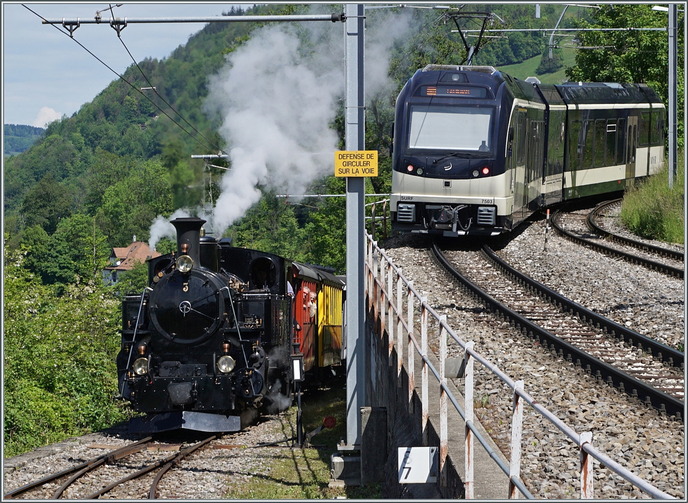 Festival Suisse de la vapeur 2024 / Schweizer Dampffestival 2024 der Blonay-Chamby Bahn - 
Während der CEV MVR ABeh 2/6 7503  Blonay-Chamby  Chamby verlässt, erreicht die BFD HG 3/4 N° 3 der Blonay-Chamby Bahn mit ihrem Dampfzug Chamby.

20. Mai 2024
