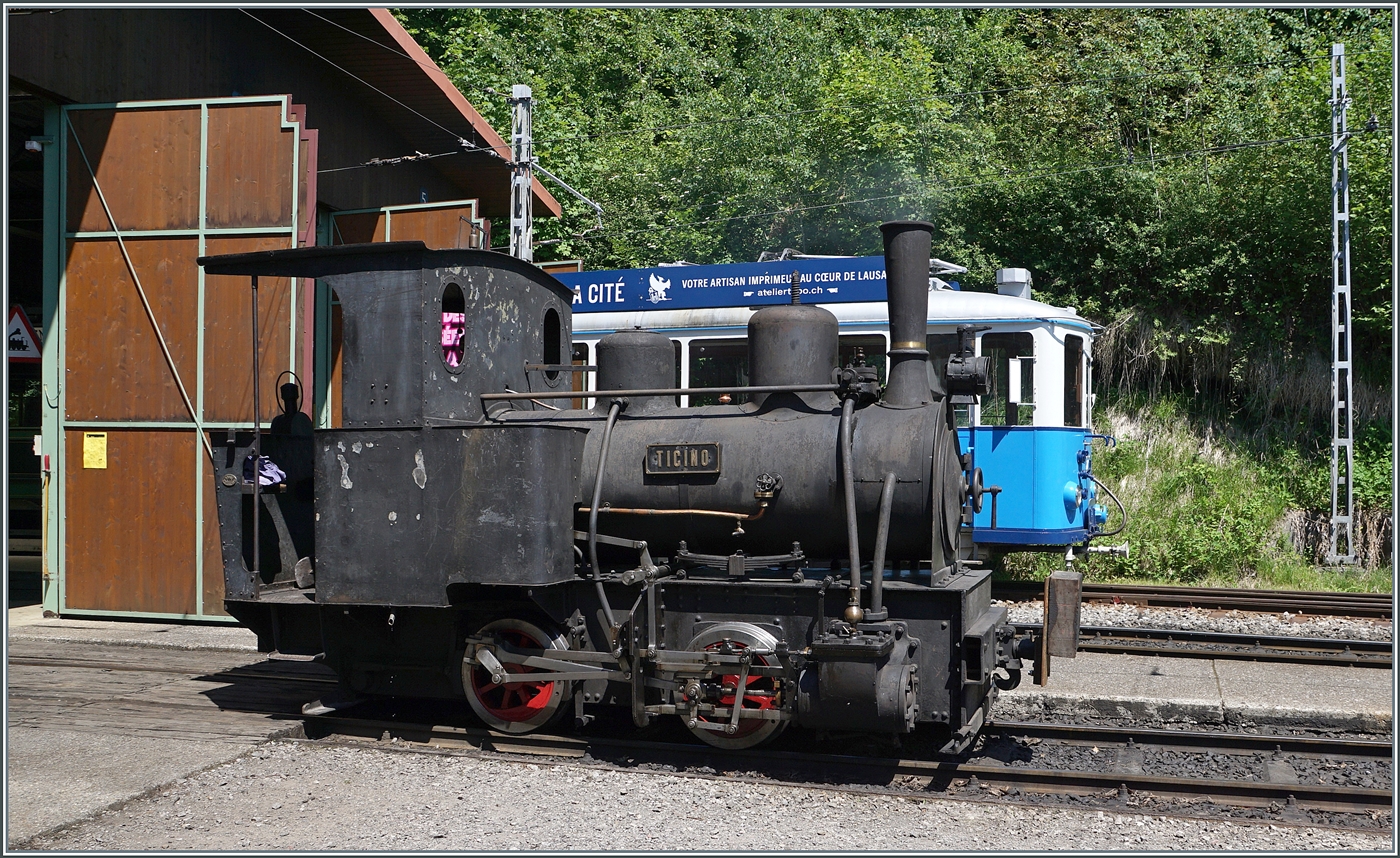 Festival Suisse de la vapeur / Schweizer Dampffestival 2026 - in Chaulin stht die kleine schlichte G 2/2 TICINO und wartet auf neuen (Rangier) - Aufgaben. Ein interessantes Detail ist die angepasste Kupplung die auf Vorderseite der Lok gut zu sehen ist. 

24. Mai 2026