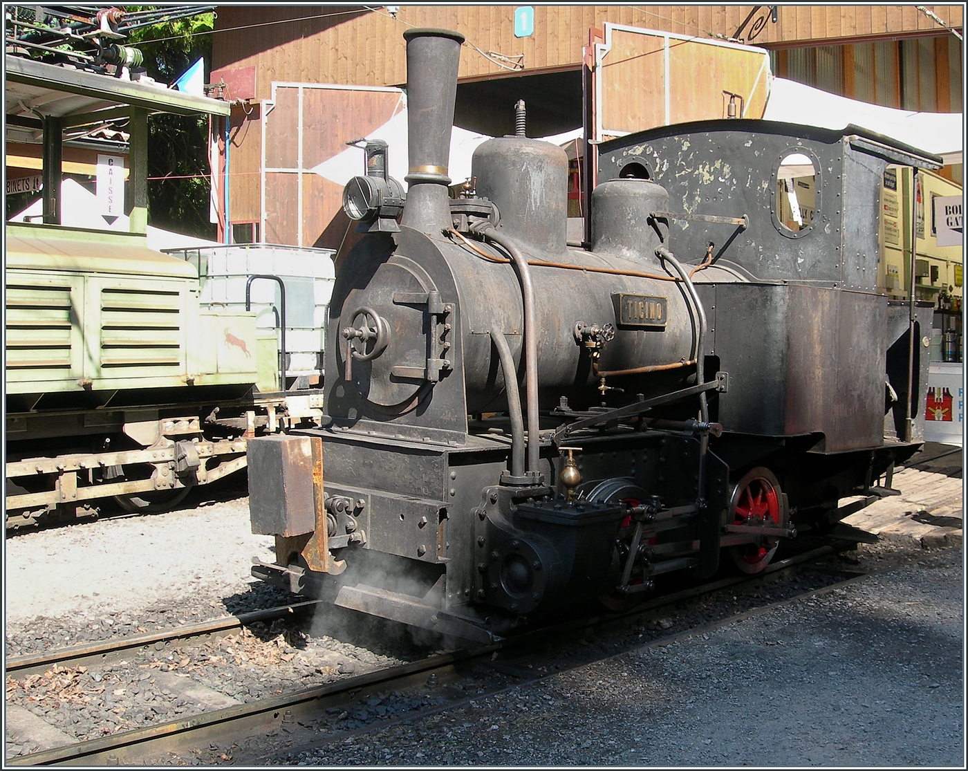 Festival Suisse de la vapeur / Schweizer Dampffestival 2026 - f�r mich das Highlight: die G 2/2 TICINO! Und somit f�r mich somit das  Festival TICINO de la vapeur 2026  ...

25. Mai 2026