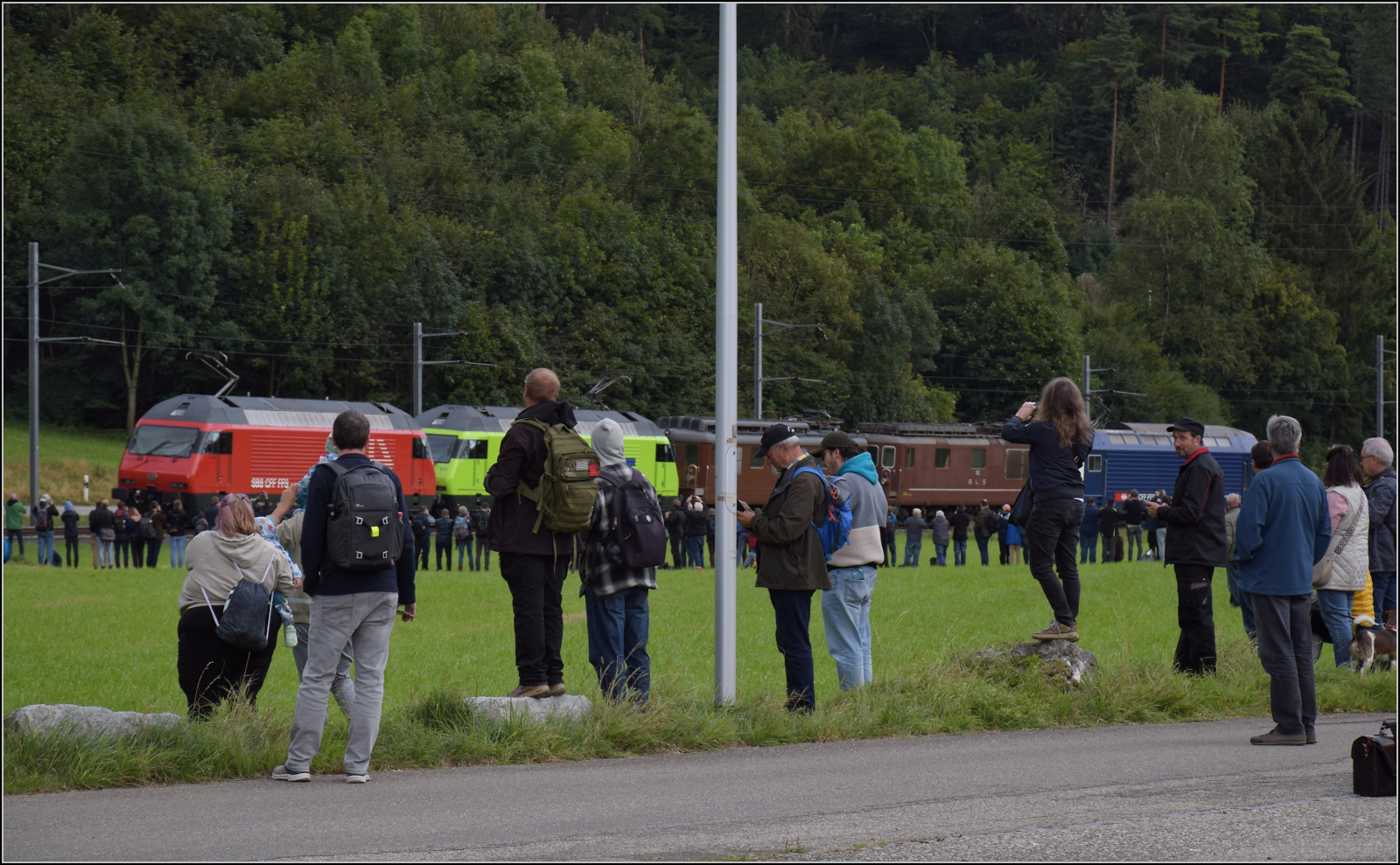 Grosses BoBo-Treffen in Balsthal: 60 Jahre Re 4/4 II in der Schweiz. 

Der Fotozug zur Gesamtschau wird nun zusammengestellt, von vorne nach hinten sind im Zug zusammengestellt: Re 460 058 (SBB), Re 465 011 (BLS), Ae 4/4 251 (BLS), Re 4/4 183 (BLS) und Re 450 012 (S-Bahn). Die Erwartung ist freudig, wie man sieht. Oensingen, September 2024.