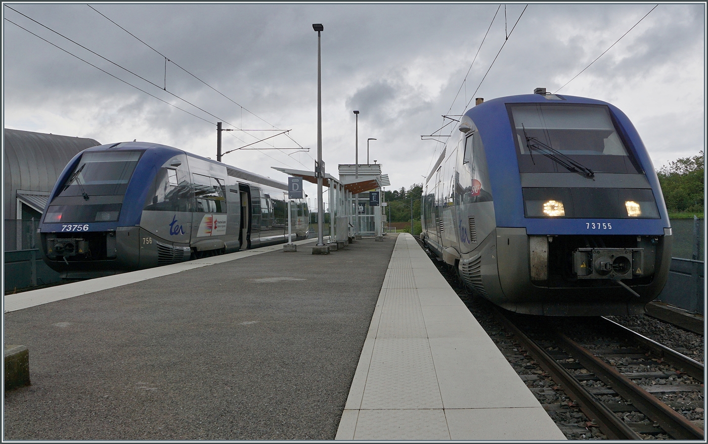 In Meroux kreuzen sich der aus Delle kommende der SNCF Coradia A-TER X 73756  Baleine  als TER 8950008 nach Belfort und der Gegenzug, der  SNCF Coradia A-TER X 73755  Baleine  als TER 8950011 von Belfort nach Delle. 

20. Mai 2026