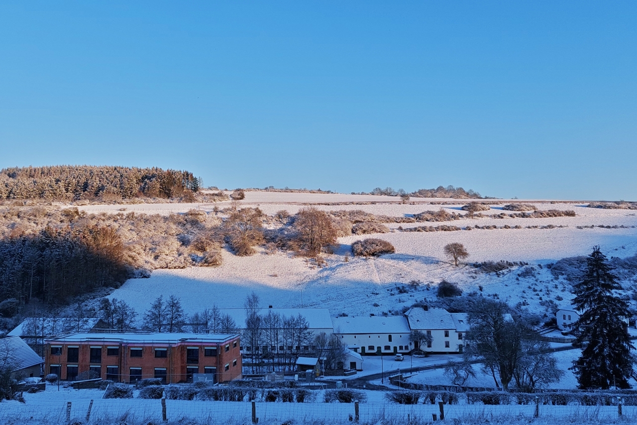 Leicht gezuckerte Landschaft nahe Wiltz. 21.01.2023