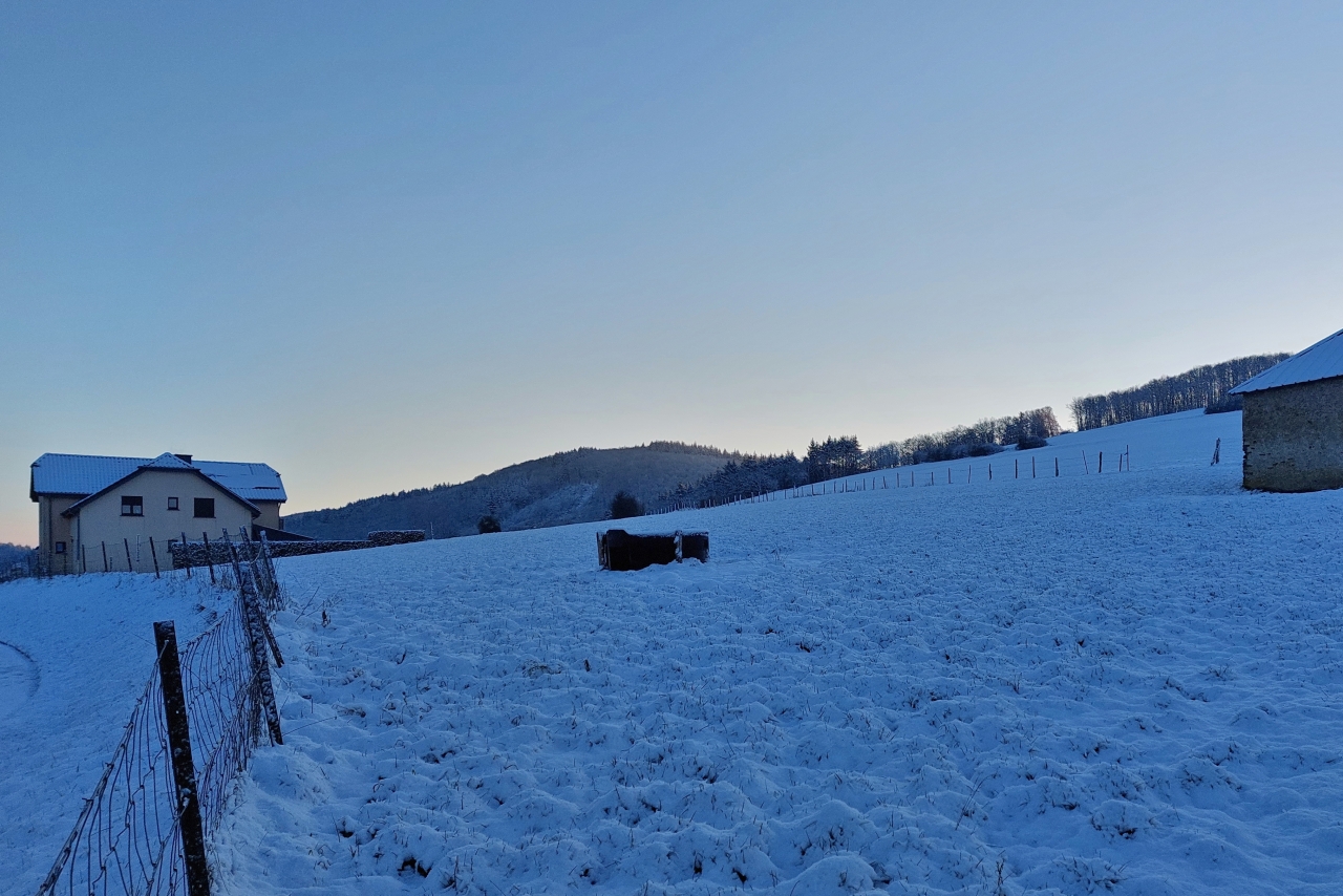 Leicht gezuckerte Landschaft nahe Wiltz. 21.01.2023