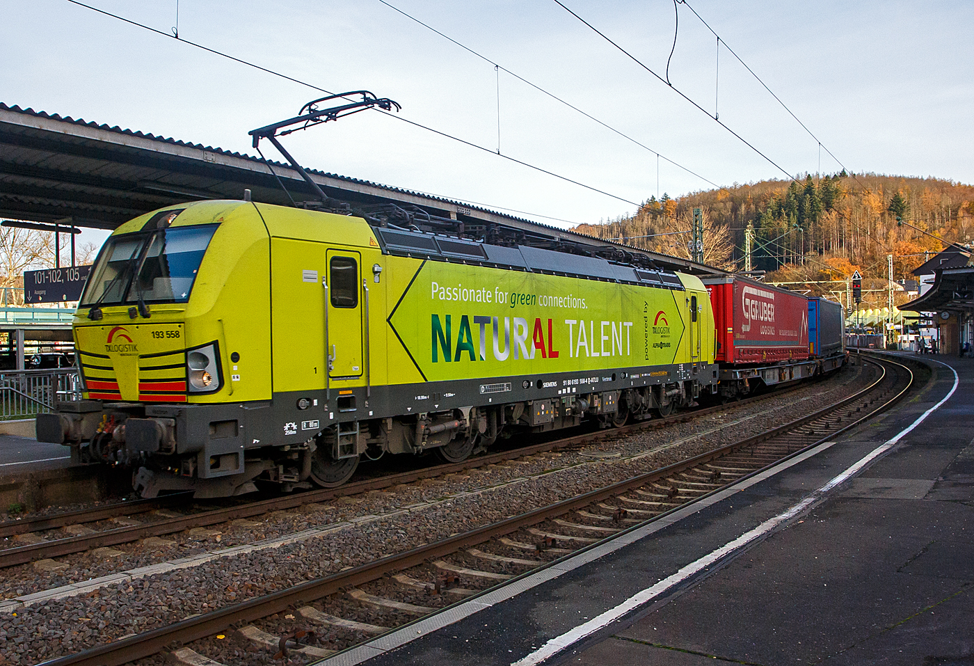 Nach langer Enthaltsamkeit konnte ich am 22 November 2023 endlich mal wieder Güterzüge auf den Siegstrecke ablichten, hier fährt die an die TX Logistik AG (Troisdorf) vermietete Siemens Vectron MS 193 558 „Natural Talent“ (91 80 6193 558-4 D-ATLU) der Alpha Trains Luxembourg s.à.r.l. (Luxembourg) mit einem KLV-Zug durch Betzdorf (Sieg) in Richtung Köln.

Die Vectron Lokomotive ist als MS – Lokomotive (Mehrsystemlok) mit 6.400 kW konzipiert und zugelassen für Deutschland, Österreich und Italien.

Die TX Logistik AG (TXL) ist ein im Jahr 1999 in Bad Honnef gegründetes Eisenbahnverkehrsunternehmen mit heutigem Sitz in Troisdorf, das heute zur Mercitalia Group gehört, die wiederum ein 100 prozentiges Tochterunternehmen der italienischen Staatsbahn Ferrovie dello Stato Italiane FS ist. Mittlerweile gehört das Unternehmen mit zu den Größten für den Schienengüterverkehr in Europa.

Das Unternehmen bietet den ganzen Umfang an Schienengüterverkehr, inklusive Containertransport und kombiniertem Verkehr an. Wichtigste Transportstrecken sind von den Häfen Hamburg, Bremerhaven, Rotterdam und Antwerpen nach Süddeutschland, Schweiz, Österreich und Italien.