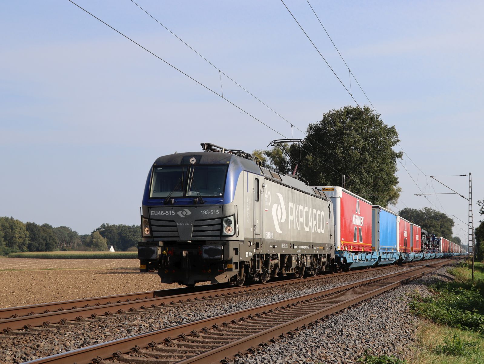 PKP Cargo Lokomotive EU46 515 / 193 515  (91 51 5370 027-2 PL-PKPC) bei Bahn�bergang Wasserstrasse, Hamminkeln, Deutschland 19-09-2024.

PKP Cargo locomotief EU46 515 / 193 515  (91 51 5370 027-2 PL-PKPC) bij overweg Wasserstrasse, Hamminkeln, Duitsland 19-09-2024.