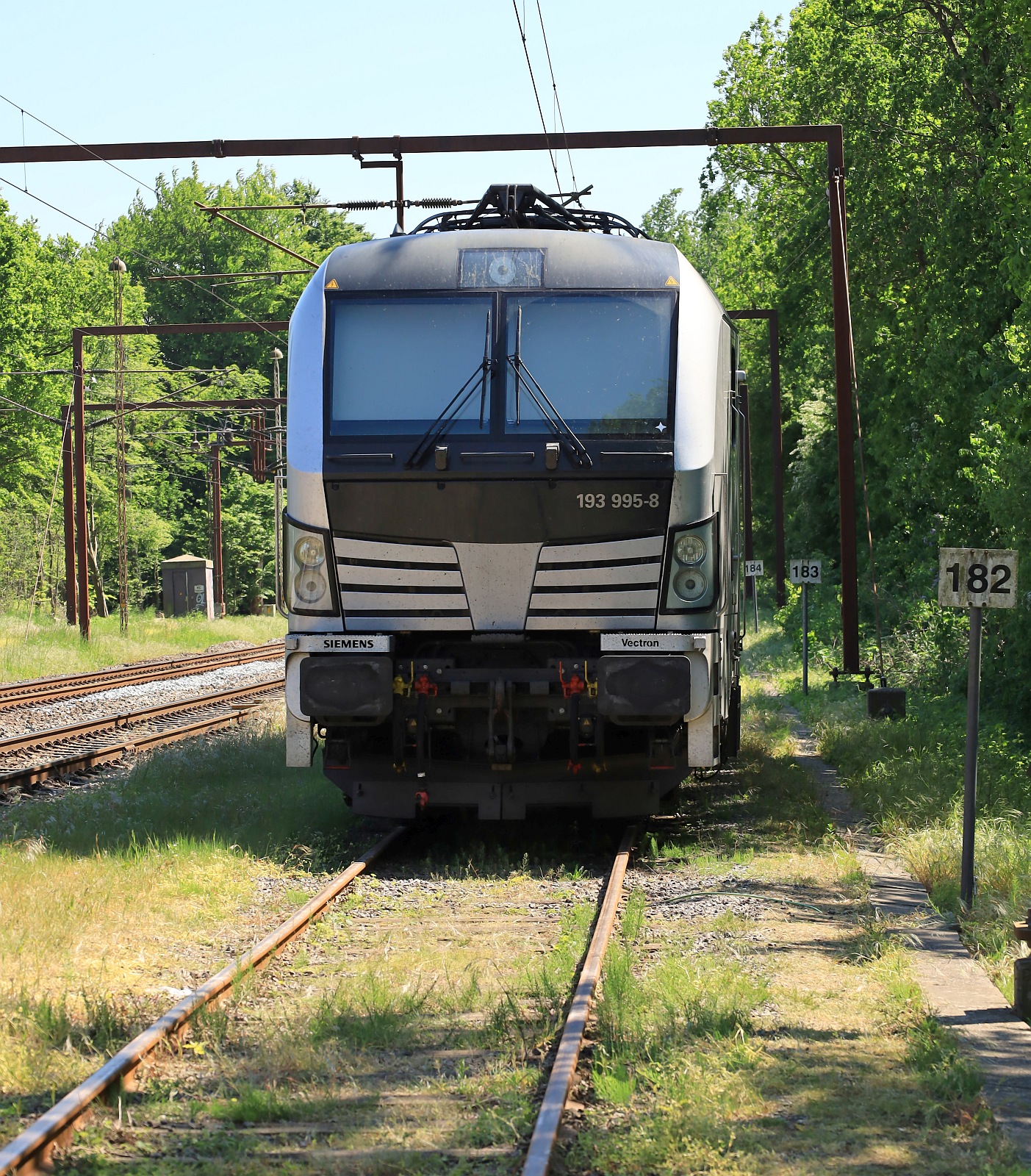 Railpool/TXL 193 995-8 wurde in der Südabstellung geparkt. Pattbug/DK 20.05.2024  