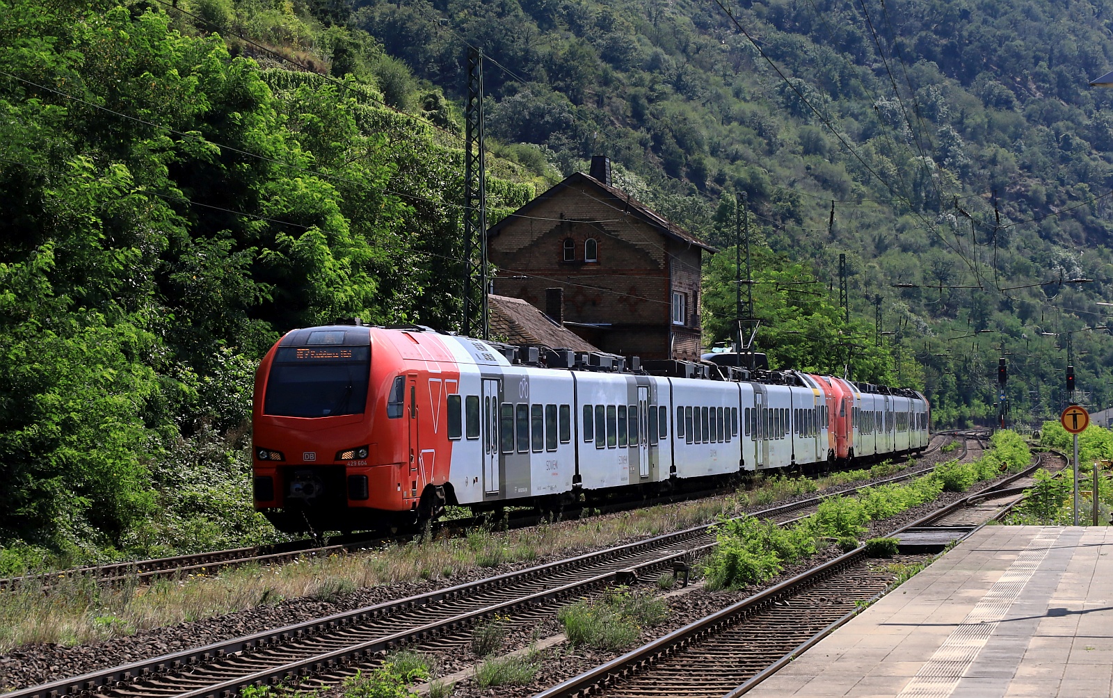 Umleiterzug...DB Süwex 429 104/604 + 429 100/600 als RE2 nach Koblenz Hbf. Kaub 05.08.2024