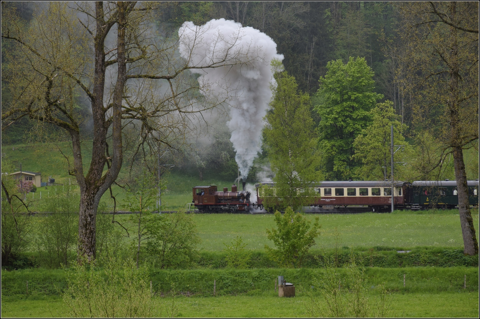 Vapeur Val-de-Travers: Train  Au fil de l'Areuse .

Nach einem kurzen Halt in La Presta gibt E 3/3 8511 wieder alles für die nächste Etappe. Mai 2023.