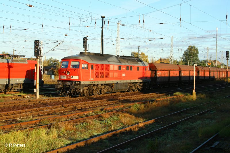233 521-4 durchf�hrt Eisenh�ttenstadt mit ein Kohlezug. 13.10.07