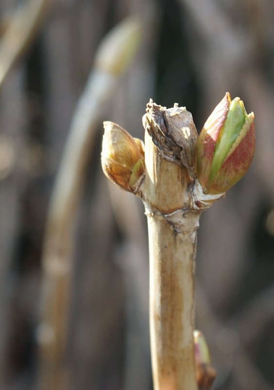 Aufbruch!
(24.02.2009)