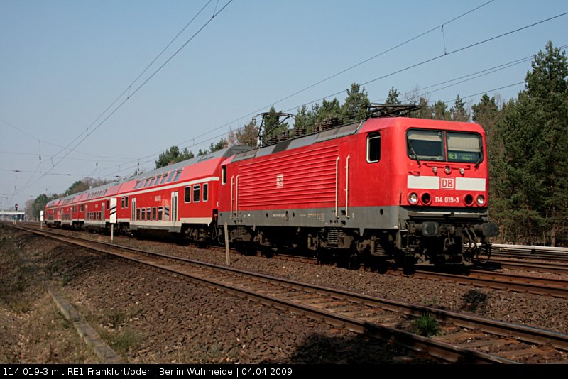 DB 114 019-3 durcheilt die Wuhlheide mit dem RE 3 nach Frankfurt Oder (ex 112 019-5, DB Regio AG - RL Nordost Cottbus, ZWS/ZDS/FMZ/TAV/SAT/NBÜ/ep; gesichtet Berlin Wuhlheide, 04.04.2009 - Update: Unfalllok, Berlin-Lichtenberg z-gestellt - zerlegt 09.06.2010)